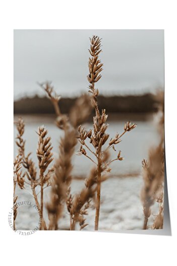Postifull Rustic Unframed Poster, Scandinavian Brown Painting, No:53 Wheat Field Photo, Vertical