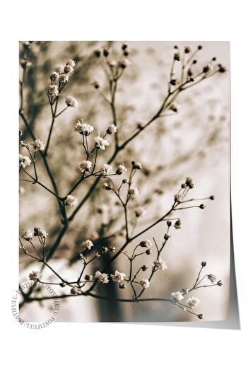 Postifull Rustic Unframed Poster, Scandinavian Brown Painting, No:68 Flower Branch Photo, Vertical