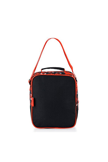 SPIDERMAN Lunch Box Due Neigborhood 48110