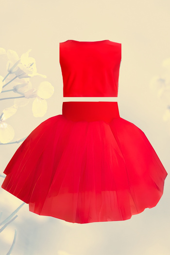Shecco Babba Girl's Tutu Skirt - Crop Blouse Set, Birthday Dress