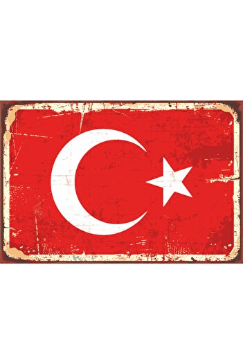 Hayat Poster Retro Vintage Turkish Flag - Moon Star Wooden Painting Poster