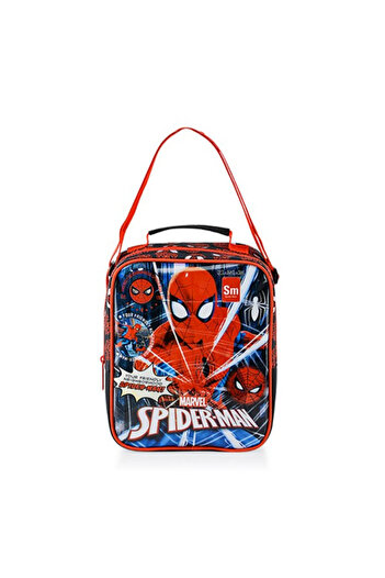 SPIDERMAN Lunch Box Due Neigborhood 48110