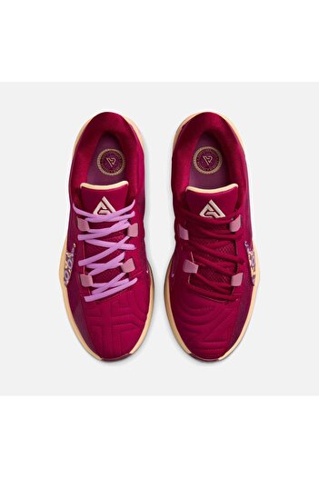 Nike Zoom Freak 5 Erkek Basketbol Ayakkabısı