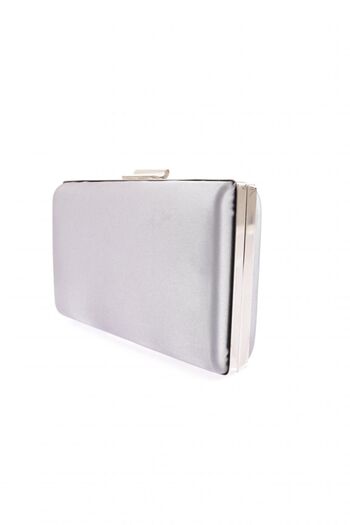 DGN 5275-22y Platinum Satin Women's Evening Dress Portfolio Bag