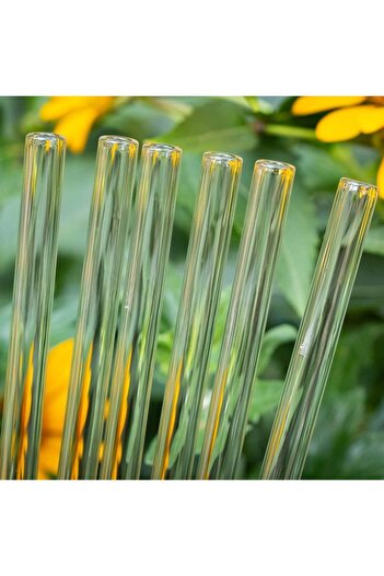 Kritik Ticaret 6 Pieces Transparent Plain Glass Straws - 20 cm Summer Straws, Reusable