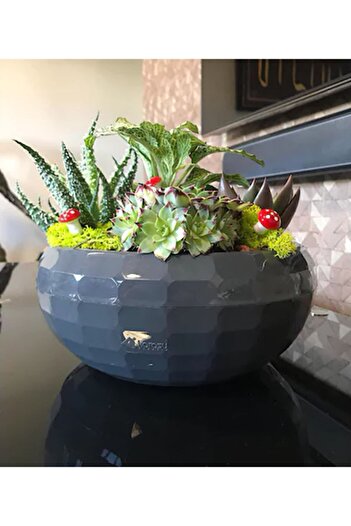 ToXA 2lt Ø23,5x10,5cm Aranjman Orta Boy Dekoratif Parlak Plastik Hazneli Arajman Saksı Granit Gri
