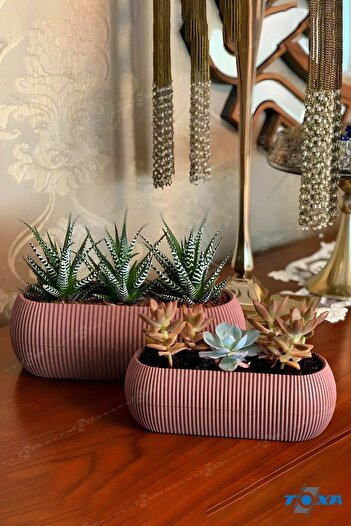 ToXA 2 Boy Mercan Uzun Soft Pembe Saksı Seti Karasu Plastik Sukulent Balkon Saksısı Set