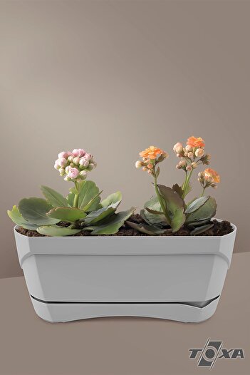 ToXA Modern Balkon Saksısı 6.6 Litre Granit Gri 45cm Tabaklı Delikli Plastik Saksı No2