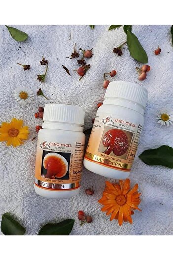 GanoExcel Excellium 90 + Ganoderma