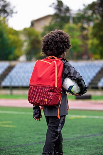 Decathlon Backpack - 17 L - Red - Essential