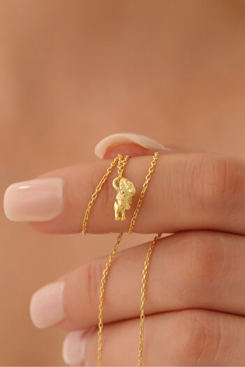 Nox Jewelry 925 Ayar Gümüş Minimal Aslan Figürlü Kolye