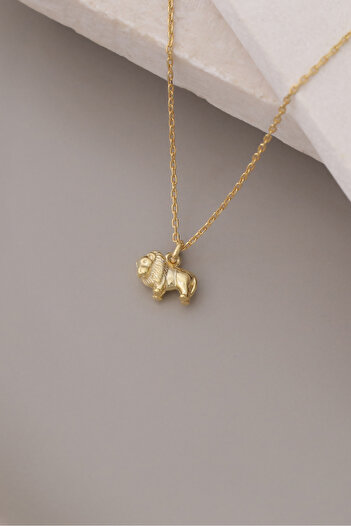 Nox Jewelry 925 Ayar Gümüş Minimal Aslan Figürlü Kolye