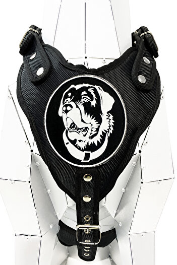 Tasma Market Premium Black KanGal - Chest and Waist Collar
