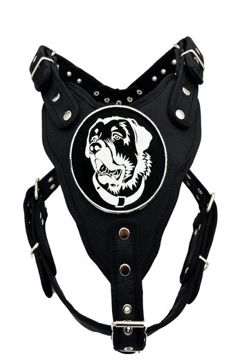 Tasma Market Premium Black KanGal - Chest and Waist Collar