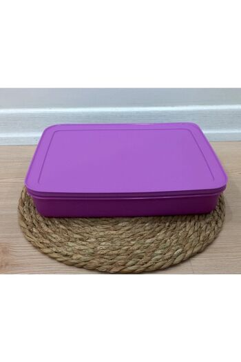 Tupperware Alaska 2.25 Freezer - Storage Container