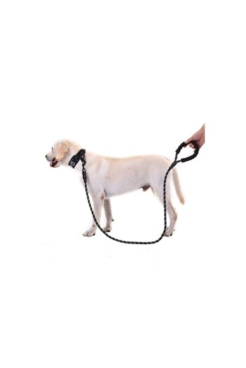 Tahtakale Dünyası 130 cm Reflective Dog Leash - Walking Leash for Large and Medium Breed Dogs