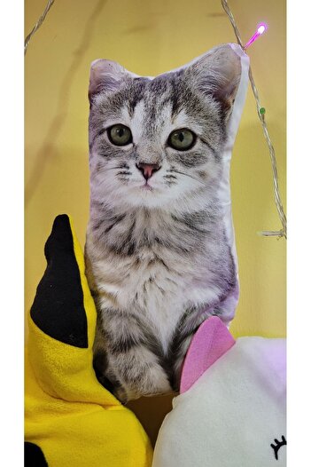 Kollektif Peluş Kedi Yumuşak Oyuncak, Uyku Arkadaşım Pelus Kedi, Peluş Cat, Çocuk Genç Hediyelik Doğum Günü
