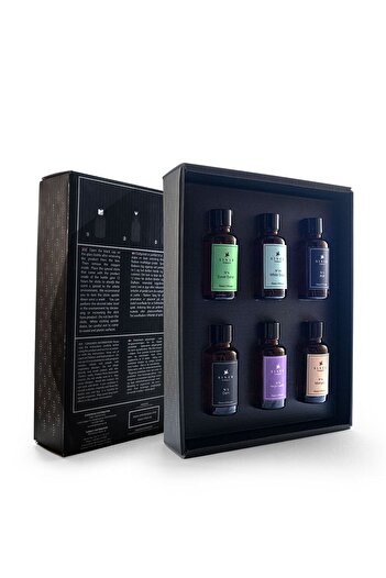 Siner Torque Reed Diffuser 6’lı Minimal Seri Bambu Çubuklu Oda Kokusu (Bambu Koku Set I)