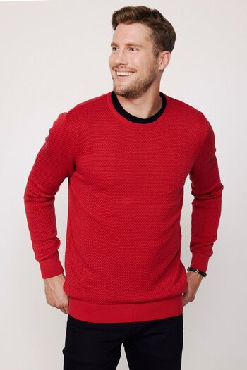 Tudors Men's Slim Fit Slim Fit Crew Neck Honeycomb Pattern Red Knitwear Sweater