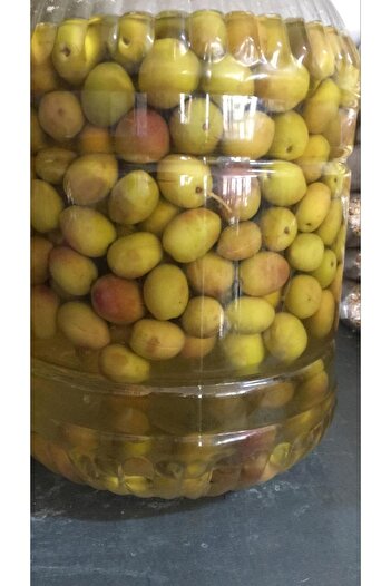 bodrum organik pazar Yeni Mahsül Çizik Salamura Alyanak Yeşil Milas Memecik Zeytini 1 Kg