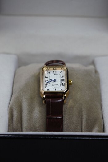QUARTZ Marka Vintage Roma Rakamlı Deri Yılan Desenli Kordon Kare Çelik Saat