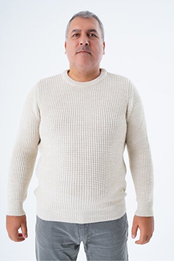 Trist Star Men's Beige Knitwear Wool Sweater - Plus Size, Thessaloniki Knit, Crew Neck Trist-2116