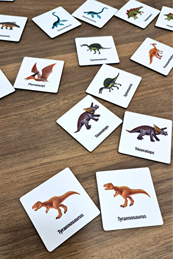 metafortoys 24 Pieces Dinosaurs Intelligence Matching Cards