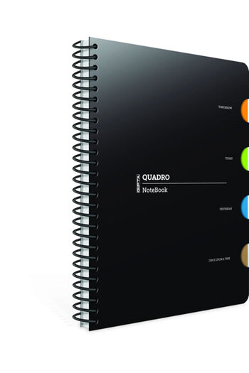 Gıpta Quadro Spiral 150 de coli 17x24 Caiet cu linii cu compartiment pentru capac din plastic