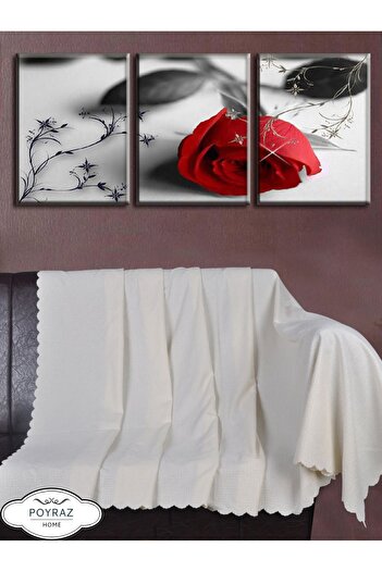 POYRAZ Matte Patterned Chenille Ecru Double Sided Sofa Sofa Bed Cover Shawl