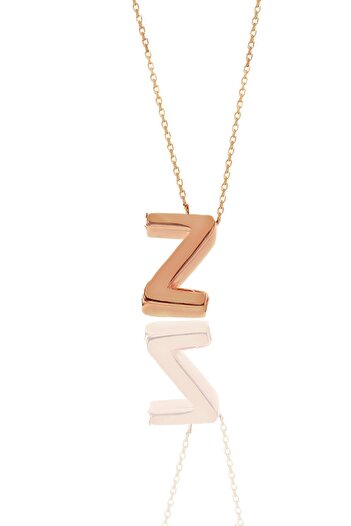 Söğütlü Silver Gümüş Rose Üç Boyutlu Minimal Z Harf Kolye Sgtl11182z