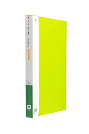 Bigpoint Green Presentation File - 30 Sheets Bp203-55