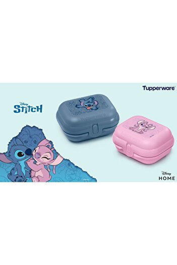 Tupperware Mini Carrying Container -Setof 2 Blue and Pink