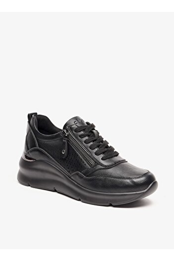 Celeste Women's Solid Shoes with Lace-Up Closure and Zip Detail