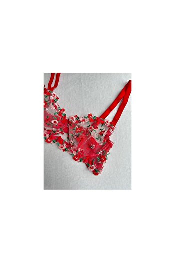 Sage Lingerie Red Flower Embroidered Underwire Tulle Bra Set