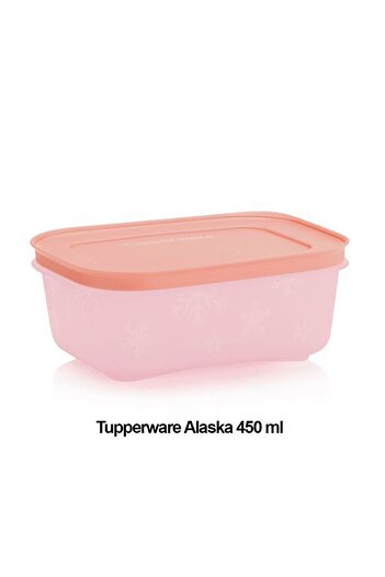 Tupperware Alaska 450ml Set of 4 - Deep Freezer and Refrigerator Storage Container