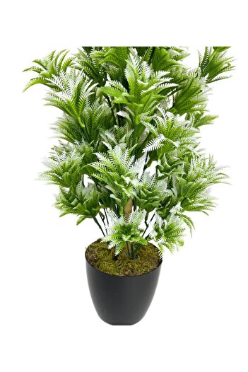 Nettenevime Yapay Çiçek Siyah Saksıda Yeşil Beyaz Sıkas Ağacı 55cm