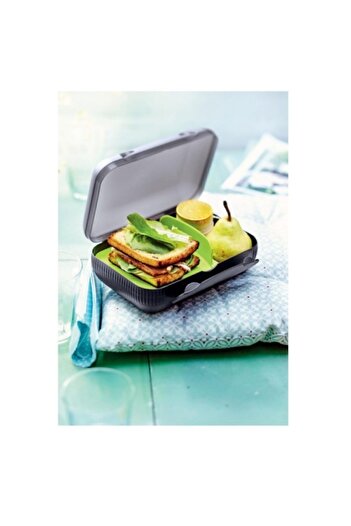 Tupperware Beslenme Kutusu