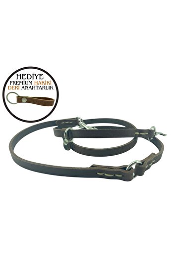 Rebel Dog Premium Genuine Leather - Dog Walking Strap, 1.4Cm//170Cm, Multifunctional
