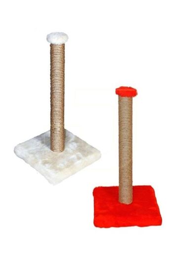 Inter pro 55 Cm Colorful Cat Grinding