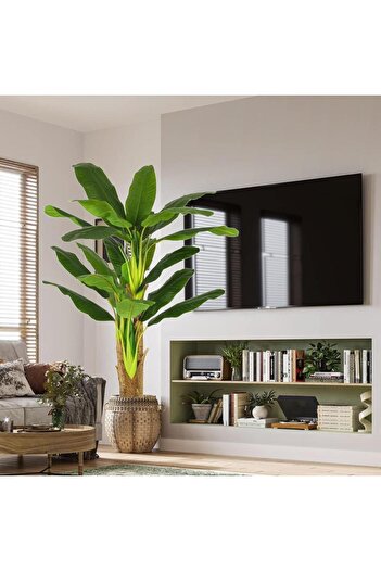 Nettenevime Yapay Ağaç Muz Ağacı 160cm 12Yaprak 3Gövdeli