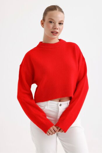 fujya Women's Crew Neck Raised Red Knitwear Crop Sweater