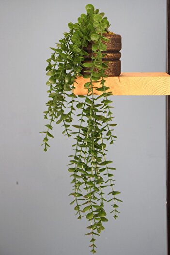HobiMax Dark Green Eucalyptus Pendant in Black Gold Wooden Pot