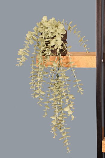 HobiMax Matte Green Eucalyptus Pendant in Black Gold Wooden Pot