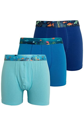 Vincent Rborn Erkek Boxer 3 Adet - Waterverse Series