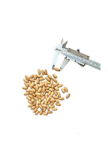 Selin Oval Barley Polished Wooden Beads (100 Gr)