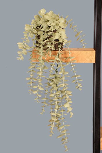 HobiMax Matte Green Eucalyptus Pendant in Black Gold Wooden Pot