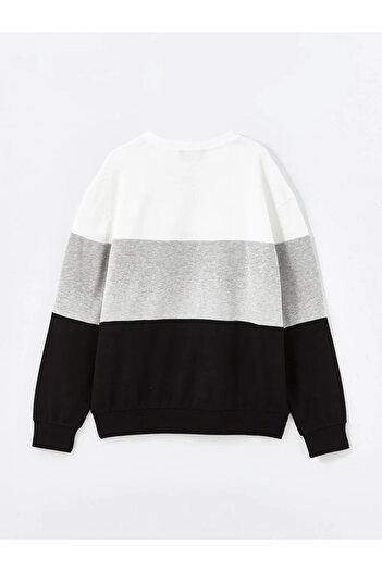 LC Waikiki Xside - Black Crew Neck Long Sleeve Color Block Men's Sweatshirt