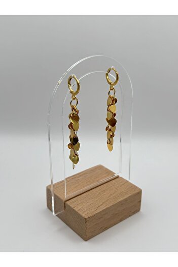 Arnes Jewelry Çelik Sallantılı Kalpli Pullu Küpe