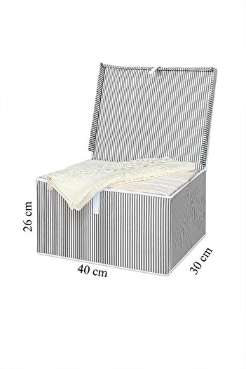 Nisahometeks 2 Pieces Mini Box Storage 40 X 30 X 26 Cm
