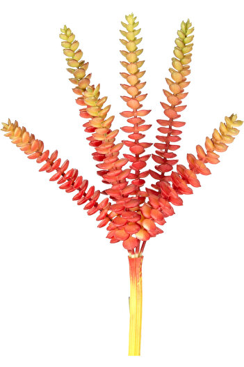 Herdekora Artificial Cactus Succulent Red/Green 26 cm